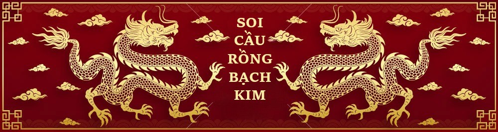 banner rongbachkim top